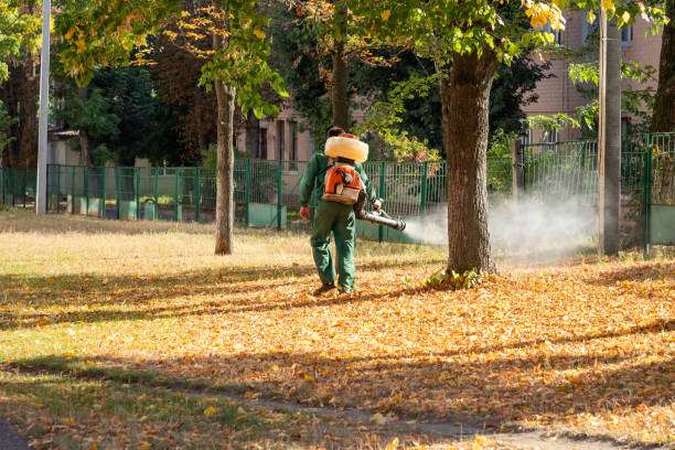 Best Insect Control  in College Park, MD